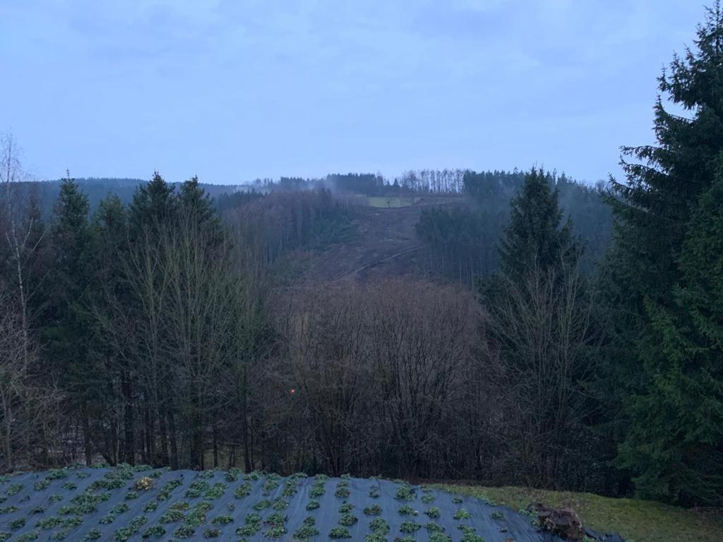 Terrasses De Malmedy Connecto Duplex 435 & 436 En Studio 336 外观 照片