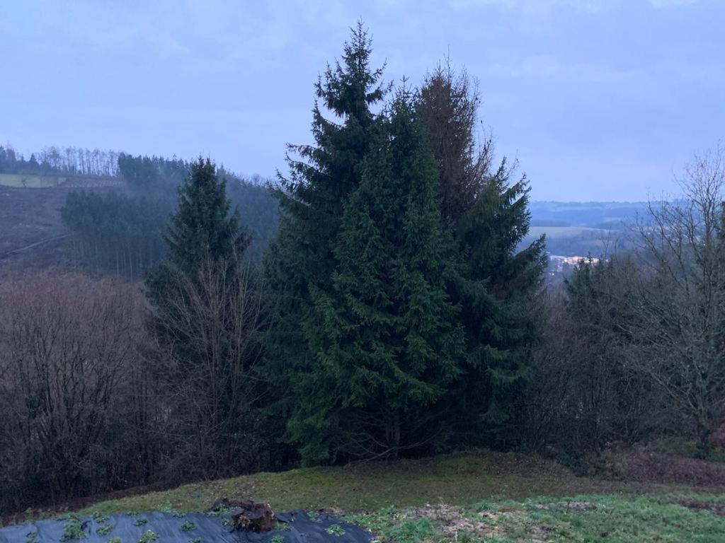 Terrasses De Malmedy Connecto Duplex 435 & 436 En Studio 336 外观 照片